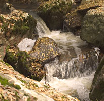 La rivière Blavet éponyme de ces gorges.